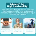 zentastic-probiotics-prebiotics-suppleme-6.jpg