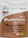 mushroom-extract-powder---powerful-10-bl-3.jpg