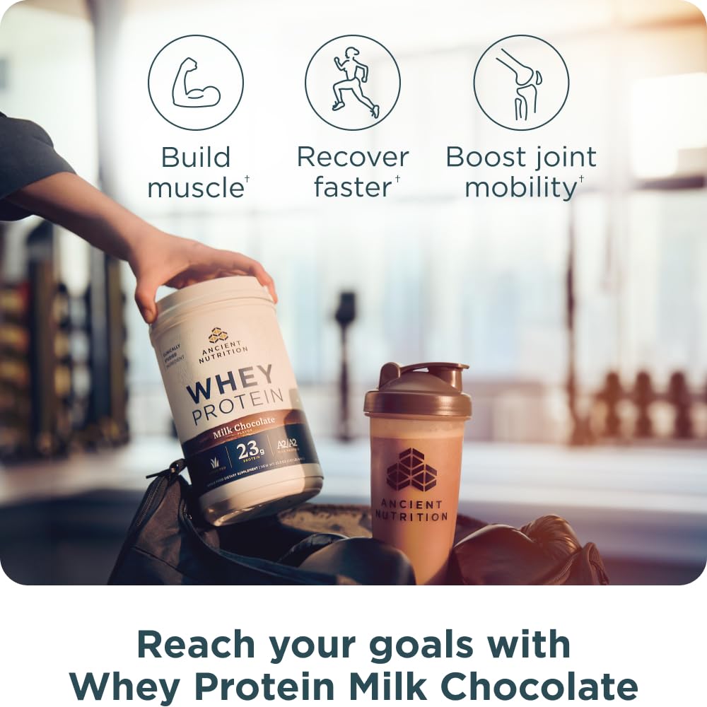 ancient-nutrition-grass-fed-whey-protein-4.jpg