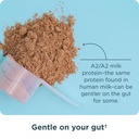 ancient-nutrition-grass-fed-whey-protein-5.jpg