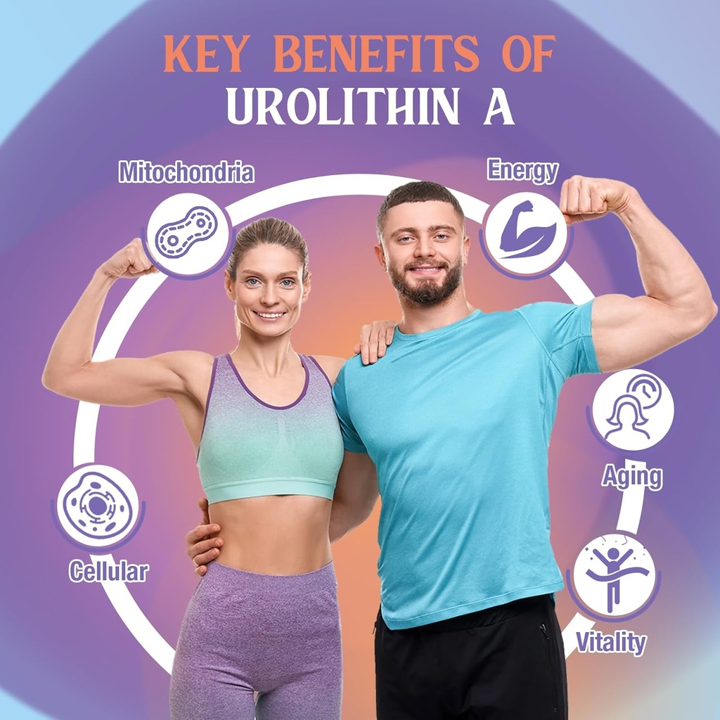 urolithin-a-supplement-2000mg-for-men-wo-4.jpg