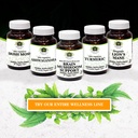 brain-mushroom-support-non-gmo-kosher-ce-4.jpg