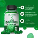 atlantis-nutrition-testosterone-booster--5.jpg