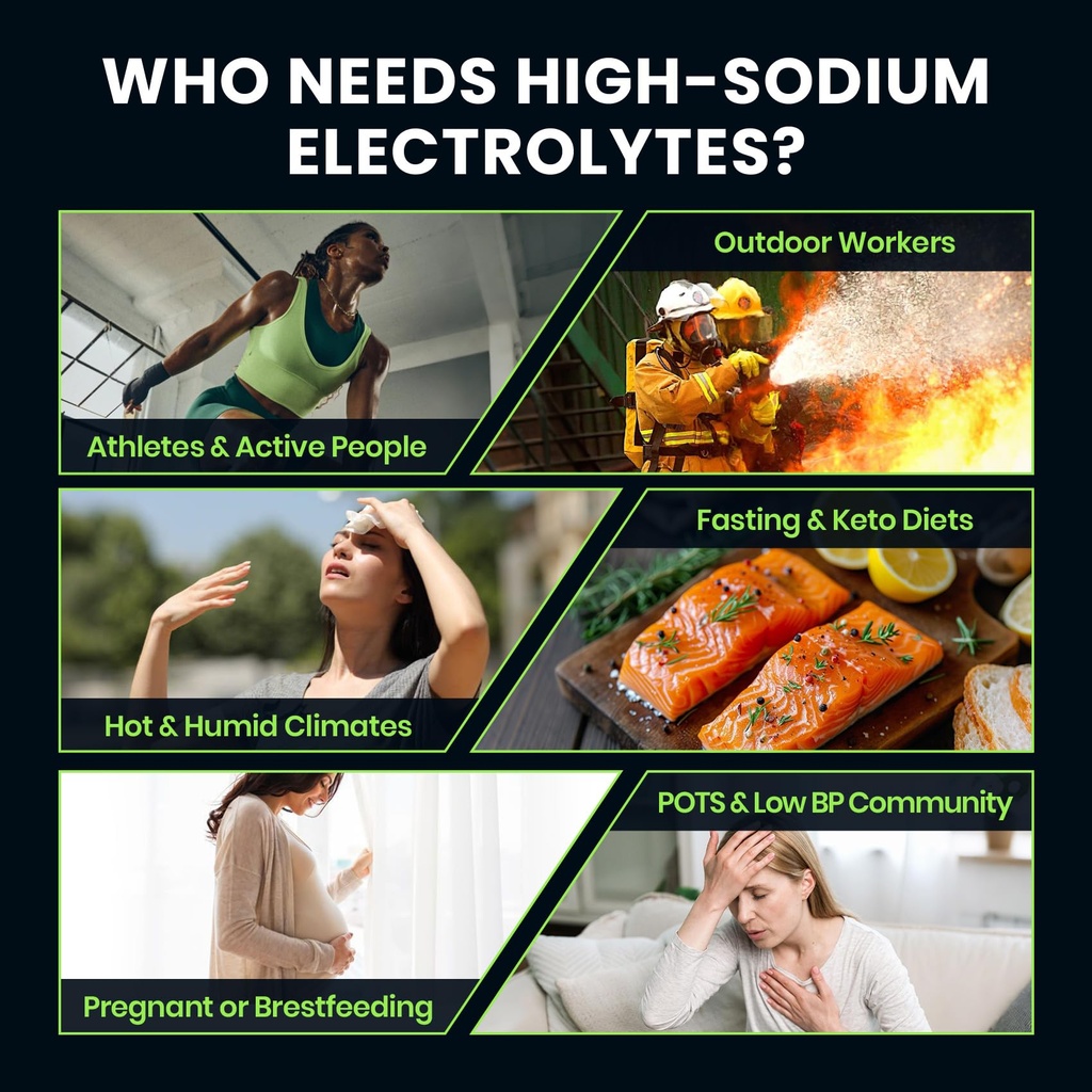 venture-pal-high-sodium-sugar-free-elect-4.jpg