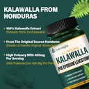 kalawalla-root-capsules-polypodium-leuco-4.jpg