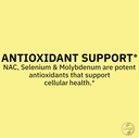 spring-valley-nac-1000-mg-vegetarian-cap-5.jpg