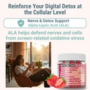 rhodiola-rosea-ala-ginkgo-biloba-astaxan-6.jpg
