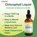 lovita-chlorophyll-liquid-drops-high-pot-2.jpg