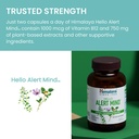 himalaya-hello-alert-mind-with-l-theanin-6.jpg