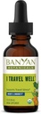 Banyan Botanicals I Travel Well Liquid Extract – Organic Fast-Acting Immune Support for Travel – with Ashwagandha and Ginger – 1 fl. oz. – Non GMO Sustentably Sourced Vegan