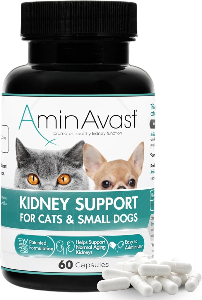 AminAvast Small Dogs & Cat Kidney Support - Promueve el apoyo saludable a los riñones en gatos &amp; perros pequeños - 300mg, 60 cápsulas