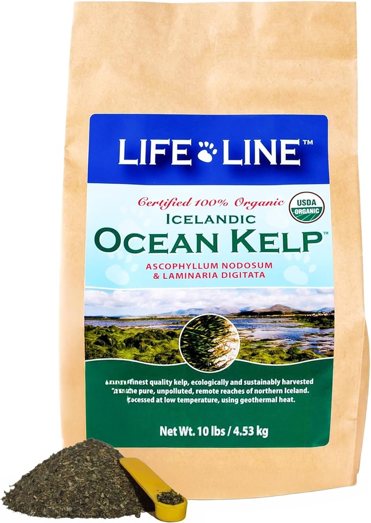 Life Line Organic Ocean Canister Kelp for Cats, Dogs, Livestock, and Horses ¦ Apoya Skin, Coat &amp; Immune Health – Reduce el Tartar, Plaque &amp; Shedding – Aumenta el metabolismo y ayuda Digestión -10 lb