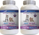 gato Bad Breath Treats - CAT Teeth Health - Advanced Mouth Health Complex - Immune Boost - Vitamina b12 para gatos - 2 Botellas (120 Tablets)