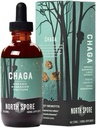 North Spore Organic Chaga Mushroom Tincture (4 oz) | 100% Fruiting Body Extracts | Immune Support, Energy, and Balance | Certified Organic, Vegan, Non-GMO | Adaptogenic, Nootropic | Made in USA
