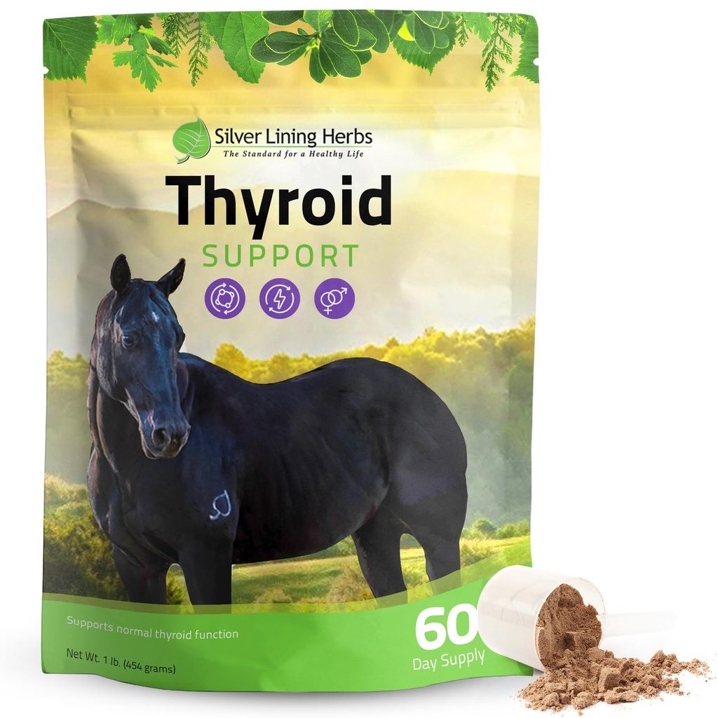 Herbs Tiroides de Plata Soporte para Caballos – Herbal Horse Supplement for Normal Thyroid Function, Hormone Balance & Healthy Metabolism with Irish Moss, Kelp, Parsley – 120-Day Supply
