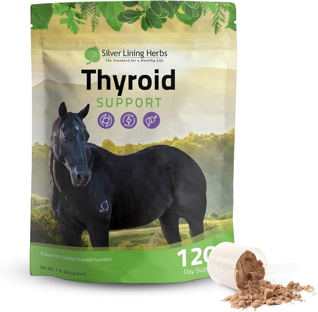 Herbs Tiroides de Plata Soporte para Caballos – Herbal Horse Supplement for Normal Thyroid Function, Hormone Balance & Healthy Metabolism with Irish Moss, Kelp, Parsley – 120-Day Supply