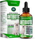 Antibióticos naturales para perros y cachorros ← Antibióticos para perros de todas las edades