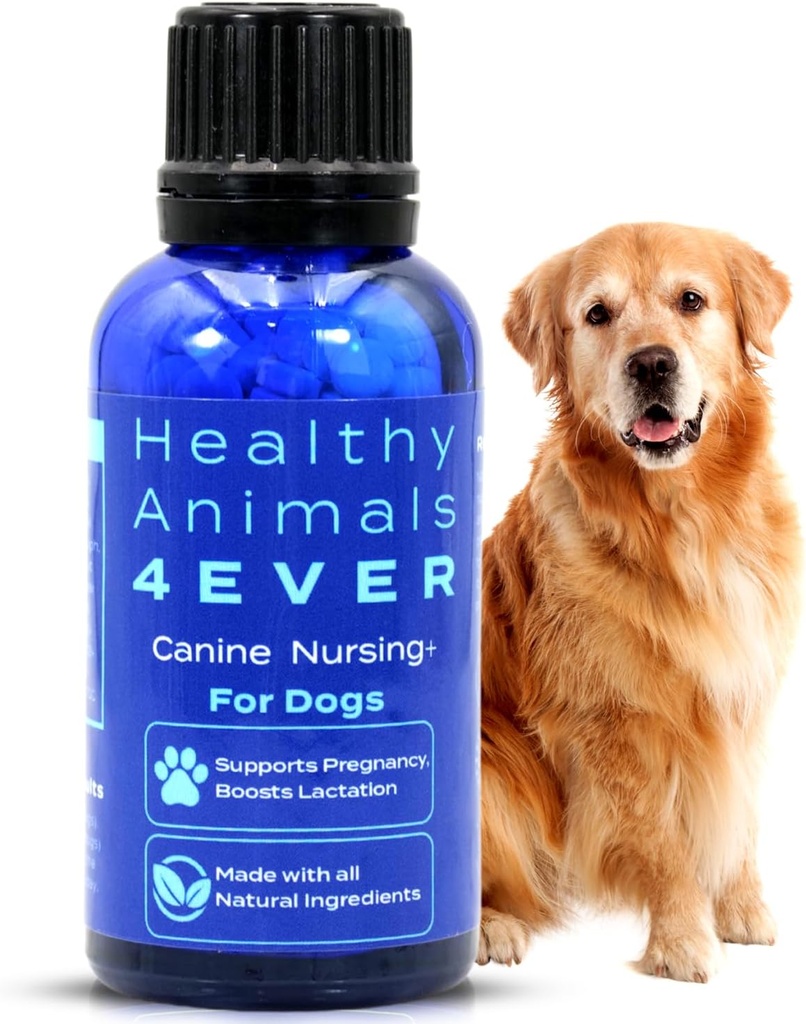 HA4E - Canine Pregnancy ' Nursing Support - Boosts Lactation & Helps Prevent Pregnancy & Nursing Issues - Safe, Fast-Acting, Natural Care Formula - 300 Cuadros