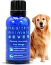 HA4E - Canine Pregnancy ' Nursing Support - Boosts Lactation & Helps Prevent Pregnancy & Nursing Issues - Safe, Fast-Acting, Natural Care Formula - 300 Cuadros