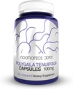 Nootropics Depot Polygala tenuifolia Capsules Ø 100mg Silencio 180 Cuenta Silencio 20:1 Extracto Silencio Yuan Zhi Silencio promueve Función Cognitiva, Aprendizaje y Memoria TENIDO Apoyos Niveles de estrés saludable Ø Adaptogen Suplemento