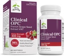 Terry Naturalmente Clínica OPC Extra Strength - Cardiovascular Health & Focus Support - Suplemento con Grape Seed Extract - Immune Support Supplement - 60 Softgels