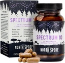 North Spore Organic 'Spectrum 10' Mushroom Extract Capsules ← Cognitive Supplement TEN Lion's Mane, Chaga, Cordyceps, Reishi, Turkey Tail ← 10 Medicinal Mushrooms TEN Energy, Focus, Clarity - 120 cts
