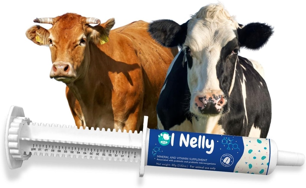 Ruminants Pre and Probiotic Paste (80g)- Pre and Probiotics with Vitamins and Minerals- 6 Strains and 8 Billion CFU- Immune and Gastro Health Support for All Ruminants: Bovines, Goats &amp; More