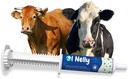 Ruminants Pre and Probiotic Paste (80g)- Pre and Probiotics with Vitamins and Minerals- 6 Strains and 8 Billion CFU- Immune and Gastro Health Support for All Ruminants: Bovines, Goats &amp; More