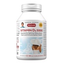 ANDREW LESSMAN Vitamin D3 5000 IU 360 Capsules - High Potency, Essential for Calcium Absorption, Supports Bone Health, Healthy Muscle Function, Immune System, More. Small Easy to Swallow Capsules