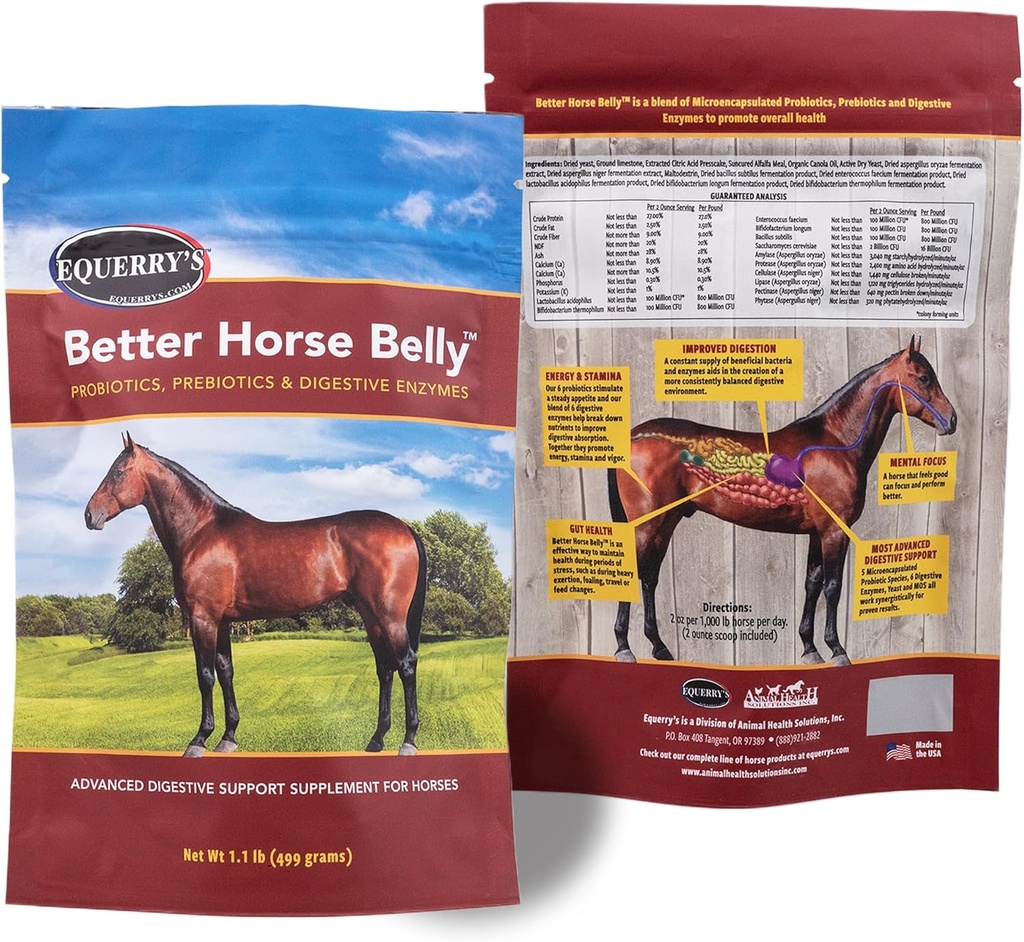 EQUERRY'S Better Horse Belly - Suplemento de Caballo con Gut Support Silencio Caballos Probióticos con Prebióticos y Enzymes Digestivos vivieron para Colic, Digestive Upset, 1.1LB