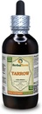 Yarrow (Achillea Millefolium) Tincture, Organic Dried Herb Liquid Extract (Brand Name: HerbalTerra, Proudly Made in USA) 4 fl.oz (120 ml)