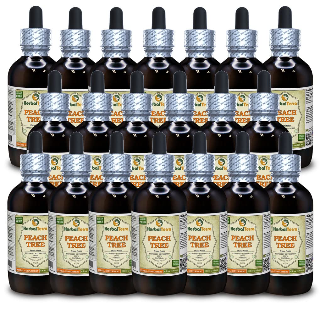 Peach Tree (Prunus Persica) Tincture, Dried Bark Liquid Extract (Marca: HerbalTerra, Proudly Made in USA) 20x4 fl.oz (20x120 ml)