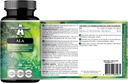 APOLLO'S HEGEMONY ALA (Alpha Lipoic Acid) 600 mg - 60 cápsulas veganas - Optimiza la gestión de glucosa - Apoya la salud mitocondrial - Dos meses de suministro