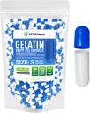 XPRS Nutra Size 3 Empty Capsules - 500 Conde Empty Gelatin Capsules - Pills DIY Capsule Filling - Pure Bovine Pill Gel Caps Fillable for Do-It-Yourself Vitamins and Supplements (Blue/White)