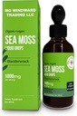 Moss de Mar Orgánico gotas líquidos TENIDO 30,000 MG TENIDO Sea Moss with Bladderwrack, Elderberry TEN 4X Stronger Organic Sea Moss Than Pills and Capsules for General Healthy Life! 1 Botella