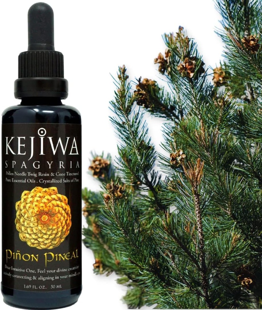 Kejiwa PIÑON PINEAL Spagyria: Tintura herbaria de pino silvestre para la activación del tercer ojo, nootropic, adaptogen, Vitality Support 1.69 fl oz