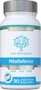 MitoDefence - 300mg CoQ10 con 21mg PQQ y 210mg Shilajit Dosis diaria - Soporte mitocondrial completo con absorción mejorada - Fabricado y probado en los EE.UU.