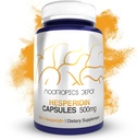 Nootropics Depot Hesperidin Capsules | 500mg | 60 Count | 90% Citrus Extract | Supports Metabolic Function + Cardiovascular Health