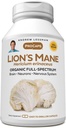 ANDREW LESSMAN Lion’s Mane 360 Capsules - Orgánica Full Spectrum Lion’s Mane Mushroom Extract - Apoyos Saludable Cerebro, Cognitivo y Nervous System Function - No Additives.