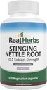 Real Herbs Stinging Nettle Root Extract 7500mg (750mg de 10:1 Extracto) – Vegetarian Friendly, Non-GMO, Gluten-Free – Apoya la salud de la próstata y orina – 100 cápsulas