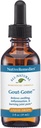 Remedios nativos Gout-Gone - Fórmula homeopática natural para la hinchazón conjunta, la red y el malestar de Gout - 59 mL