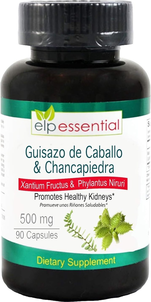 Guisazo de Caballo y Chancapiedra 500 mg 90 cápsulas promueve los riñones saludables