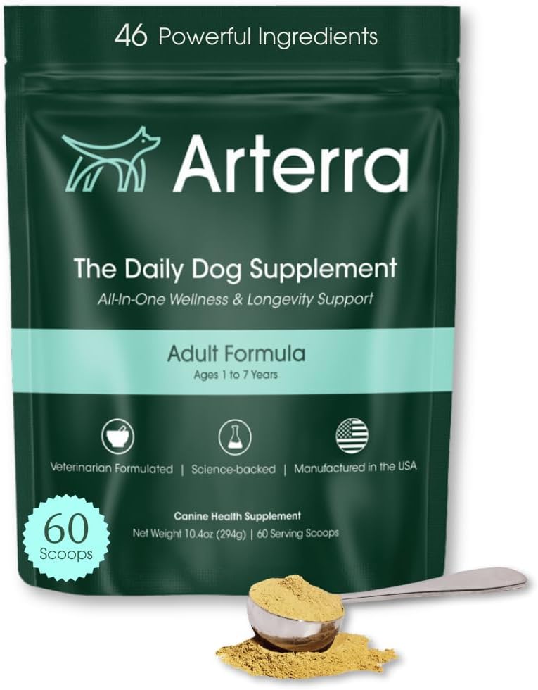 Adult Dog Powder Suplemento &amp; Food Topper – 46 Ingredientes para Gut, Immune & Brain Health – Daily Longevity Multivitamin for Whole Body Wellness TEN 60 Scoops