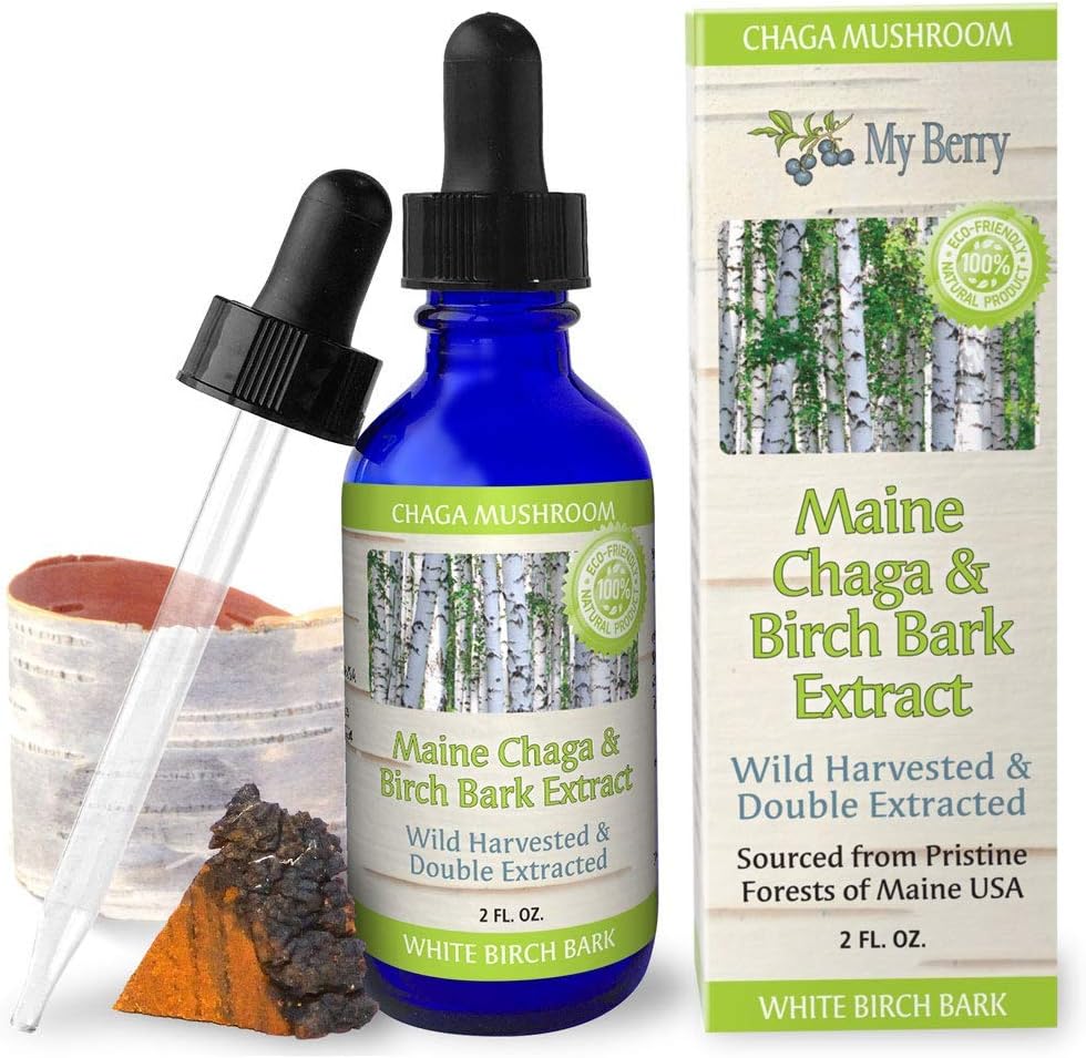 Maine Chaga Mushroom &amp; Birch Bark Extract Líquido ← Vida Salvaje Harvested " Double Extracted ← Canadian Grown Chaga