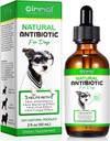 Antibiótico para perros, antibióticos de perros naturales Suplemento Apoya Tratamiento de perros UTI, Alivio de Alergía, Digestión, Infección de carne de piel " Orejas picantes, Suplemento herbal con sabor a tocino - 60 ml / 2.02oz