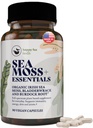 HAPPY FOX Irish Sea Moss Capsules con Burdock Root & Bladderwrack - Alternativa a Seamoss Gummies o Powder, 90 Vegan Capsules, Made in USA