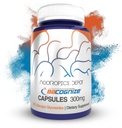Nootropics Depot BaCognize Bacopa Monnieri 300mg Capsules (120 Conde) Ayurvedic Herb Non-GMO, Gluten Free, and Vegetarian Friendly