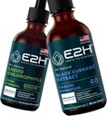 E2H: Líquido de clorofila y natural de grosella negra Extracto ← Vegan, No GMO - 2 Fl Oz Cada (4 Fl Oz Total) - Bundle