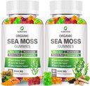 NUBETONG Irish Sea Moss Gummies 6000 mg con Fledderwrack y Burdock Root - Natural Irish Seamoss Suplemento de Tiroides, Energía, Apoyo Inmunitario - Extra Strength, Gran Tasting - Sin gluten, Vegan
