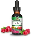 Respuesta de la naturaleza Bajo alcohol orgánico Raspberry Leaf Extracto, 1-Fluid Ounce nonGMO, Kosher certificado, Gluten Free ← Apoya la salud ¦ Soothes Digestion